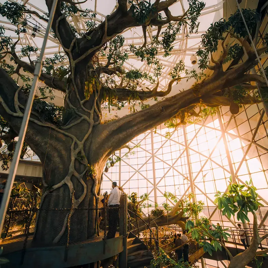 The Green Planet Dubai