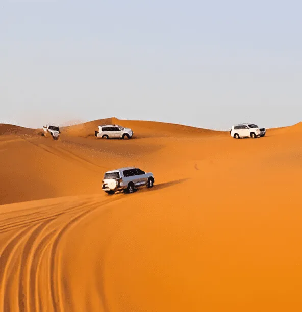 Private Morning Desert Safari (Up to 6 Passengers)